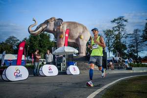 BIB: 
                            <button type="button" onclick="openModal(26541947)" class="btn btn-primary btn-sm float-right btn-popup" data-toggle="modal" data-target=".modal-high-quality">
                        <i class="fas fa-shopping-cart"></i> Add to Cart
                    </button>
                                            <button type="button" onclick="isThisMe(26541947, true)" class="btn btn-success btn-sm float-right btn-popup btn-isme hidden" data-toggle="tooltip" data-placement="bottom" title="นี่คือรูปของคุณใช่ไหม คลิกที่นี่เพื่อเอาเข้าอัลบั้ม">
                        <i class="fas fa-plus"></i> Add to album
                    </button>
                    <button type="button" onclick="isThisMe(26541947, false)" class="btn btn-warning btn-sm float-right btn-popup btn-isnotme hidden">
                        <i class="fas fa-ban"></i> Remove from album
                    </button>